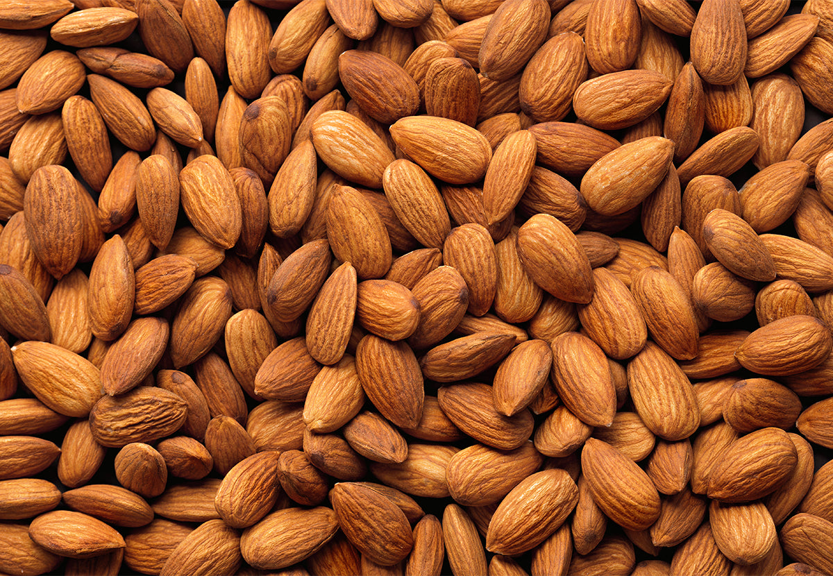 Prunus Amygdalus Dulcis (Sweet Almond)